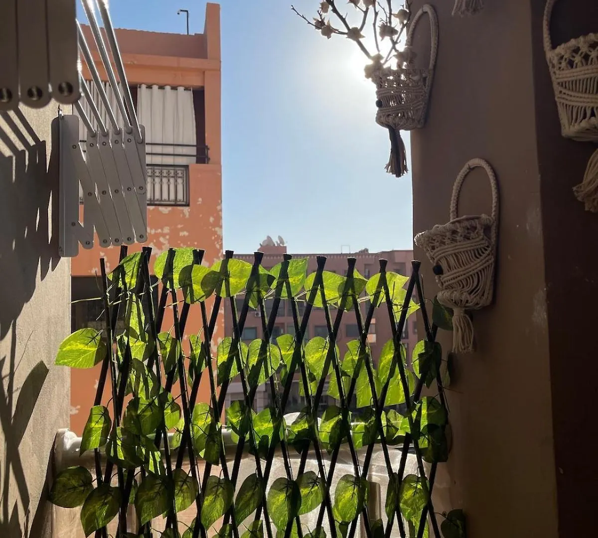 Home Star Marrakech Marrakesh Morocco